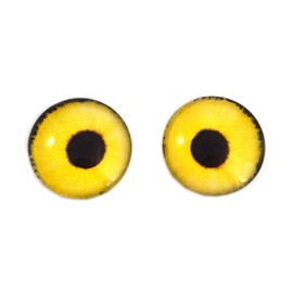 Bright Yellow Sparrow Hawk Glass Eyes Realistic Bird Animal Pair for Art Doll Parts, Sculpture, Prop, Mask, Fursuit, Jewelry Making Cabochons, Taxidermy Supplies, and More (12mm)
