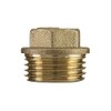 1/2" inch Wire bsp Male Brass Pipe Screw Hexagonal Protective