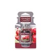 Yankee Candle Car Jar Ultimate, Black Cherry