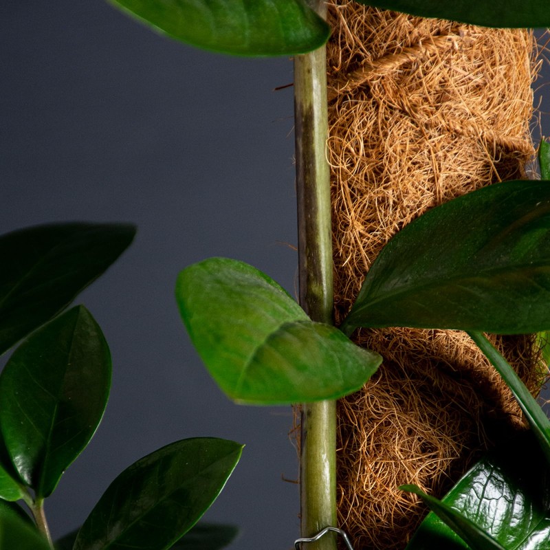 SuperMoss (22100) Coco Moss Pole, Naturally Absorbent Stackable Support for