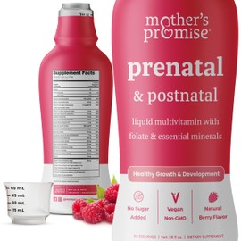 Prenatal & Postnatal Multivitamin for Women | Sugar Free Liquid Prenatal Vitamins for Women with Folate, Choline & Organic Fruits for Preconception, Pregnancy & Nursing | Vegan & Non-GMO