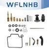 Carb Carburetor Repair Kit with Choke Plunger Starter Valve and