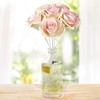 Penny& Rose Blush Rose Diffuser | Summertime Spirits Oil Scent