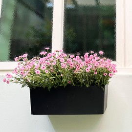 LaLaGreen Wall Hanging Planter Outdoor (20 Inch, 4 Pack) Wall Mounted Self Watering System Window Boxes with Bracket, Black Rectangular Plant Pot Flower Box Container Indoor Modern Herb Kitchen Decor