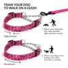 haoyueer Martingale Dog Collar - Stainless Steel Chain, No Pull
