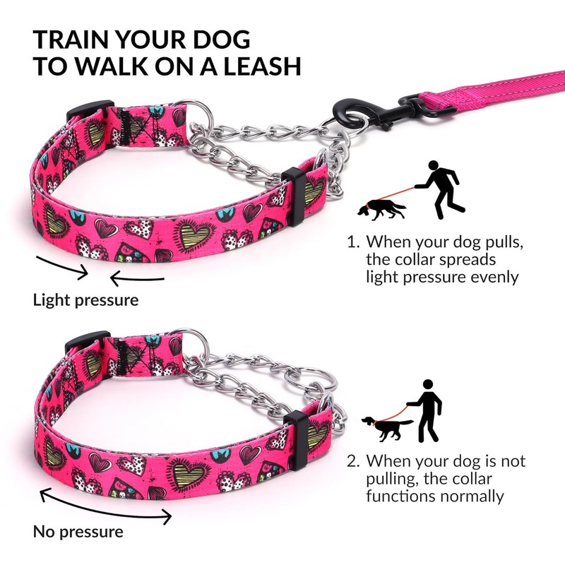 haoyueer Martingale Dog Collar - Stainless Steel Chain, No Pull