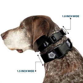 Buckle-Down PC-WSN005-WM - Collar de Clip de plástico, Color Negro y Blanco, 3,8 cm de Ancho, para Cuello de 40,6 a 58,4 cm, tamaño Mediano