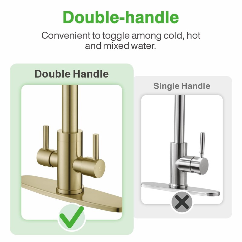 PAKING Kitchen Faucet, Kitchen Sink Faucet, 2 Handles Sink Faucet,