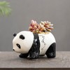 Half Forest Panda Ceramic Flower Pot Succulent Pots Creative Cartoon