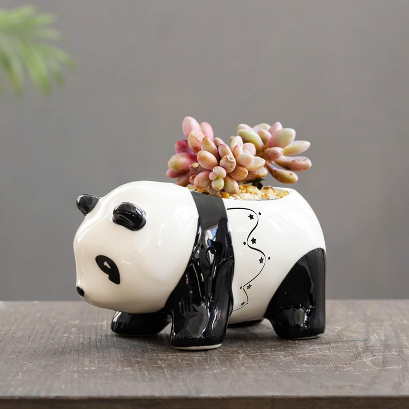 Half Forest Panda Ceramic Flower Pot Succulent Pots Creative Cartoon