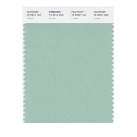 PANTONE Smart 15-5812X Color Swatch Card, Lichen