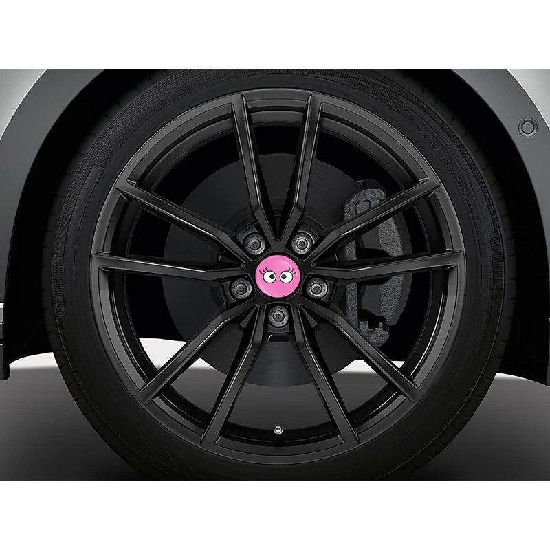 SkinoEu 4 x 65mm Wheel Centre Alloy Hub Center Caps
