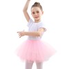 DGSHIRLDJO Girls Tutu Skirts, 5 Layers Puffy Tulle Ballet Tutu