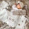 100th Anniversary Decoration Set, 9 Piece Set, Happy100days 100 Days