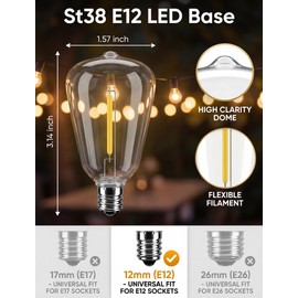 ST38 E12 LED Replacement Bulbs for Outdoor String Lights, 25 Pack Shatterproof Edison String Light Bulbs, 2700K Warm White Waterproof Dimmable Patio Light Bulbs Replacement for Patio Garden Deck