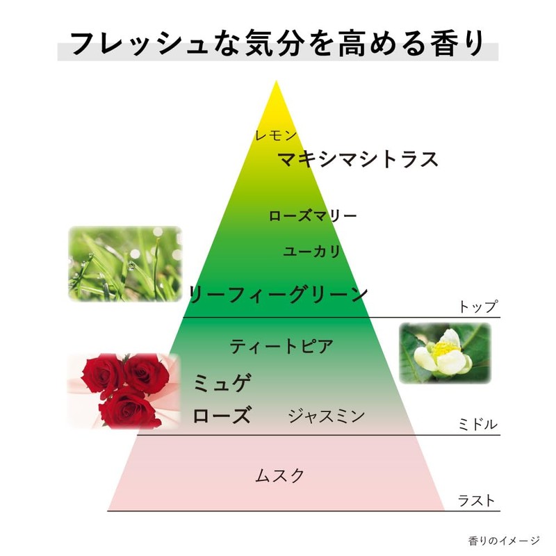 KANEBO Cream in Day II (Morning Cream), 1.4 oz (40