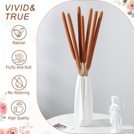 Songjum 25 Pcs 17in Dried Natural Brown Cattails Flowers Large Brown Cattails Bundles Beautiful Bulrush Plants Dry Flower for Wedding Party Decoration Farmhouse Garden Decoration