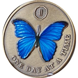 2 Year Blue Butterfly Medallion One Day at A Time Sobriety Chip