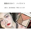 Light and Shadow Artist Blush Shading Highlights All-in-One Disc Brighten
