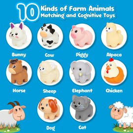 NAODONGLI Montessori Farm Animals for Toddlers 18+Month,Early Educational Little People Animals Figurines Learning Fine Motor Matching Games Easter Basket Stuffers Gift for Boys Girls