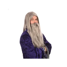Bristol Novelty BW909 Wizard Wig and Long Beard, Mens, Grey, One Size