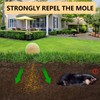 Mole Repellent,Gopher Repellent,Vole Repellent,Mole Repellent for lawns,Mole Trap, Mole Control,
