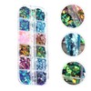 Baluue Nail Art Powder Chameleon Glitter Sequin Flakes Manicure Kit