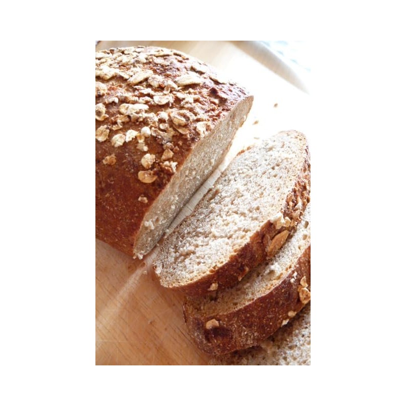 Pioneer Planning Sourdough (for rye bread) 8.8 oz (250 g)