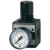 RIEGLER Multifix 100421-R 12-10 Pressure Regulator with Pressure Gauge, BG