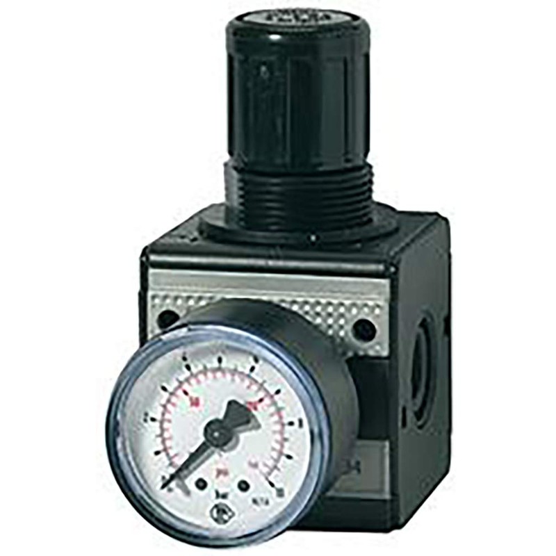 RIEGLER Multifix 100421-R 12-10 Pressure Regulator with Pressure Gauge, BG
