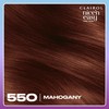 Clairol Nice'n Easy Tone+Gloss Semi Permanent Hair Dye - 550/81