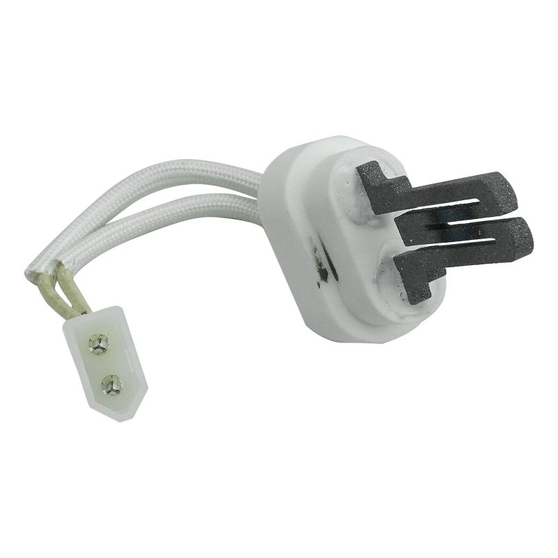 Unbranded 77707-0054 New Igniter & Gasket Kit For Pentair MasterTemp