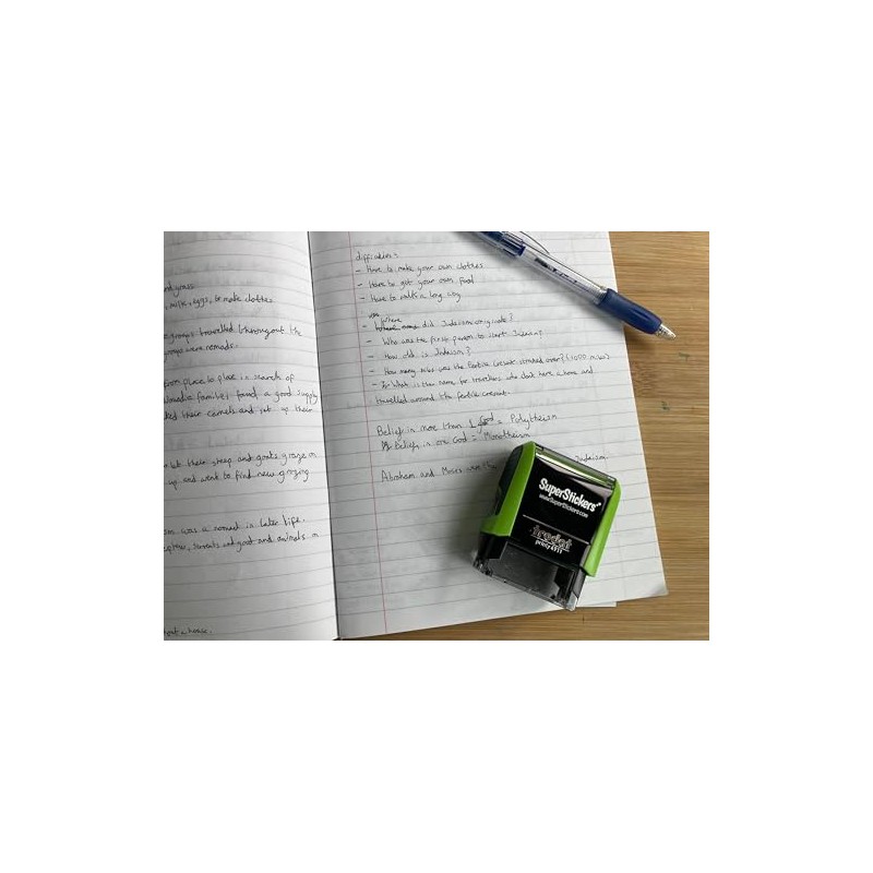 SuperStickers Assessment Stamper for teachers: Worked In A Pair -