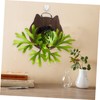 CIYODO 1Pc Hanging Plants Board Durable Wooden Wall Planter for