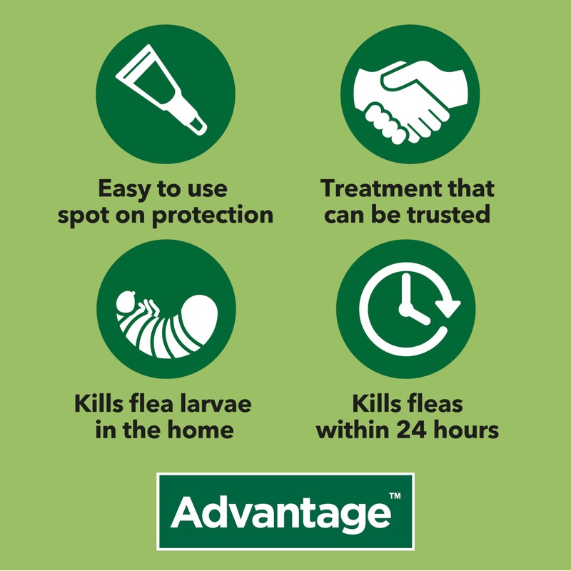 Advantage Advantage Spot On Flea Treatment 100 Medium Dogs 4-10kg,