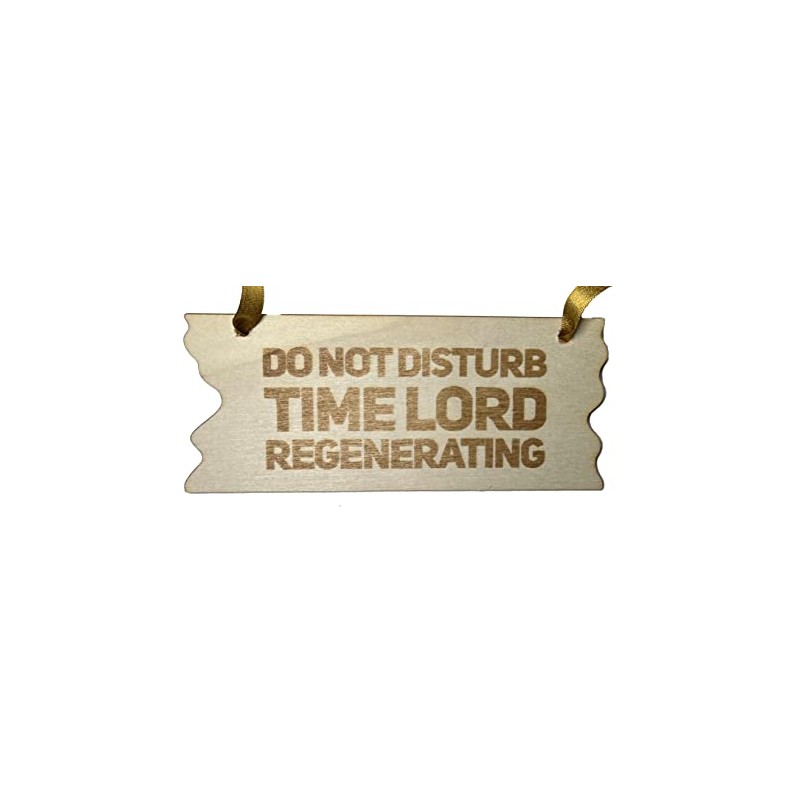 Bedroom Door Sign, Do Not Disturb Time Lord Regenerating