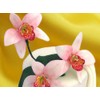 White Plastic Dough Scraper 11501 Orchid Set Of 3 Cookie