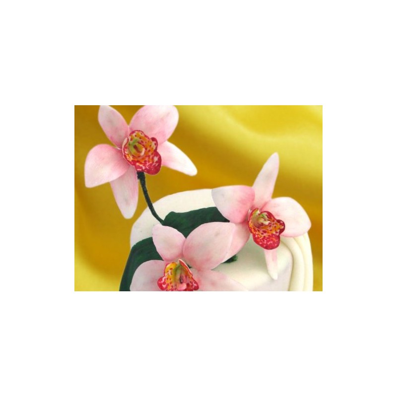 White Plastic Dough Scraper 11501 Orchid Set Of 3 Cookie