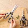 Kitchen Scissors