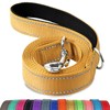Joytale Correa reflectante de doble cara para perro, 6 pies/5