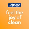 Softsoap Softsoap Antibacterial Liquid Hand Soap, Gentle Clean, Sparkling Pear
