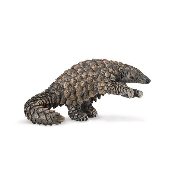 CollectA Pangolin - Realistic Hand-Painted Pangolin Toy, Animal Toys For