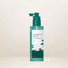 RoundLab 라운드랩 소나무 진정 시카 두피 토닉 100ml (+샴푸 50ml) Round Lab Pine Calming Sicha Scalp Tonic 100ml (+Shampoo 50ml)