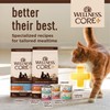 Wellness CORE+ Digestive Health Grain-Free Natural Wet Cat Food, Sensitive