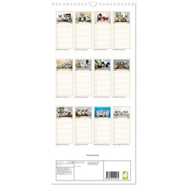 Familienplaner 2026 - Katzenparade mit 5 Spalten (Wandkalender, 21 cm x 45 cm), CALVENDO: Monat für Monat eine süße Babyrunde... (CALVENDO Tiere)