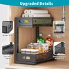 Under Sink Organizer, 1 Packs 2 Tier Under Sink Organizers