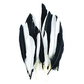 Touch of Nature 24-Piece Mini Indian Feathers for Crafting, 3-Inch, Black/White Mix