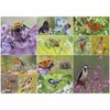 Otter House Gift Jigsaw Puzzle 1000 Piece - RSPB -