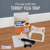 TERRO T231 Flea Trap Refills - Replacement Flea Trap Glue
