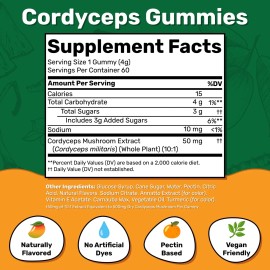 Fungies Cordyceps Mushroom Gummies 60 Count Caffeine Free Energy Boost Vegan Friendly